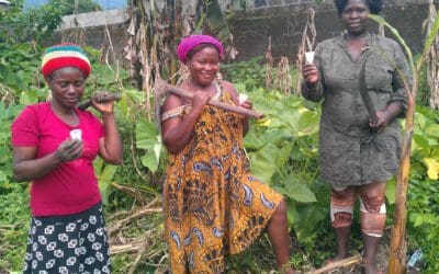 Distribution of cups to local farmers